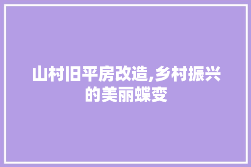 山村旧平房改造,乡村振兴的美丽蝶变 隔断设计