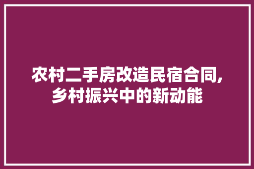 农村二手房改造民宿合同,乡村振兴中的新动能