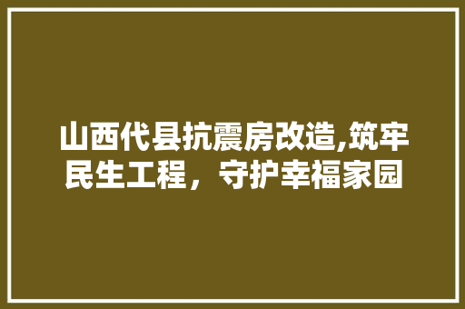 山西代县抗震房改造,筑牢民生工程，守护幸福家园 景观设计
