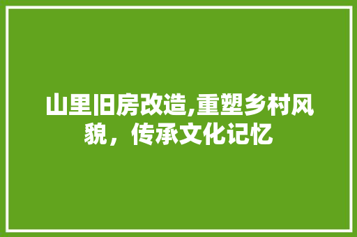 山里旧房改造,重塑乡村风貌，传承文化记忆 隔断设计