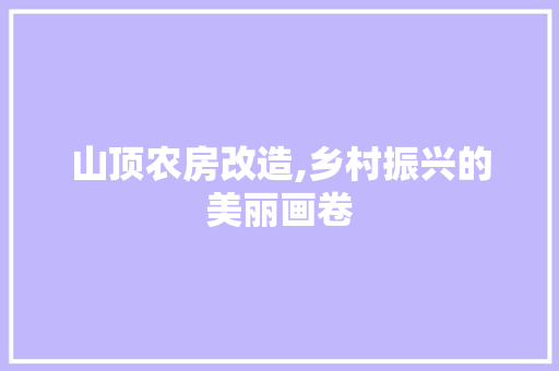 山顶农房改造,乡村振兴的美丽画卷 装修攻略
