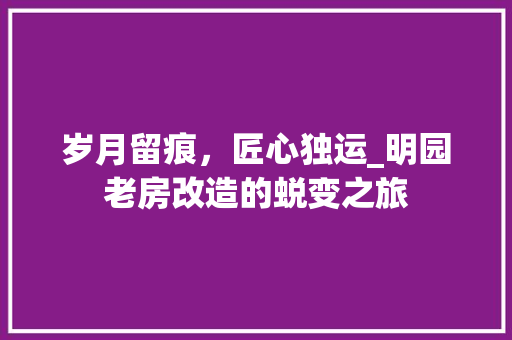 岁月留痕，匠心独运_明园老房改造的蜕变之旅