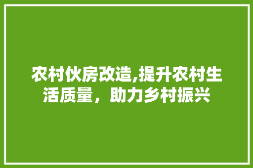 农村伙房改造,提升农村生活质量，助力乡村振兴