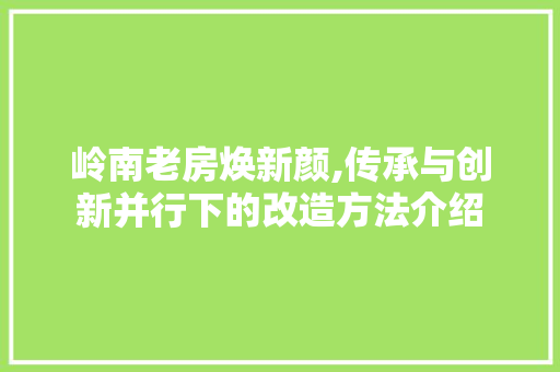 岭南老房焕新颜,传承与创新并行下的改造方法介绍