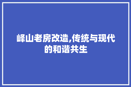 峄山老房改造,传统与现代的和谐共生 门窗装修