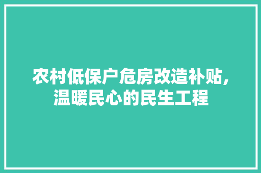 农村低保户危房改造补贴,温暖民心的民生工程