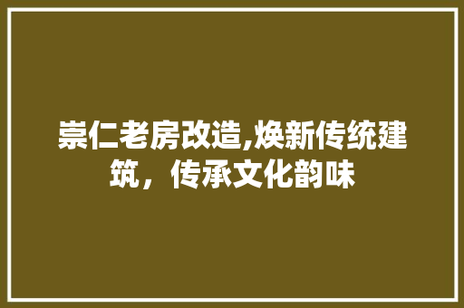 崇仁老房改造,焕新传统建筑，传承文化韵味 景观设计