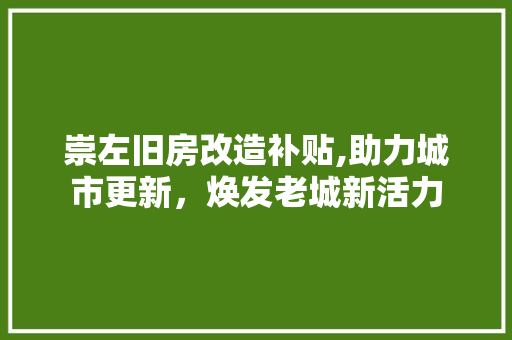 崇左旧房改造补贴,助力城市更新，焕发老城新活力