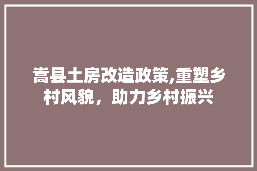 嵩县土房改造政策,重塑乡村风貌，助力乡村振兴 建筑设计