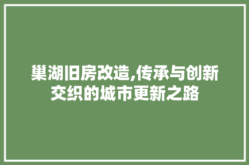 巢湖旧房改造,传承与创新交织的城市更新之路