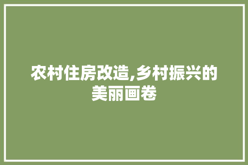 农村住房改造,乡村振兴的美丽画卷