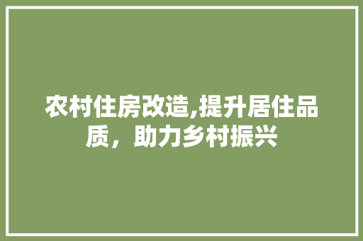 农村住房改造,提升居住品质，助力乡村振兴
