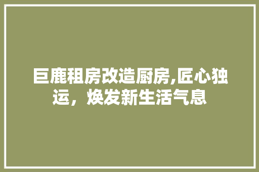 巨鹿租房改造厨房,匠心独运，焕发新生活气息