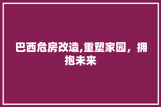 巴西危房改造,重塑家园，拥抱未来