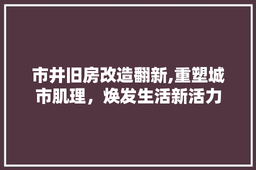 市井旧房改造翻新,重塑城市肌理，焕发生活新活力