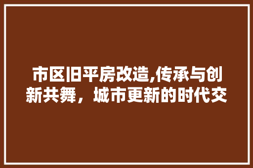 市区旧平房改造,传承与创新共舞，城市更新的时代交响 景观设计