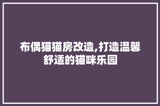布偶猫猫房改造,打造温馨舒适的猫咪乐园