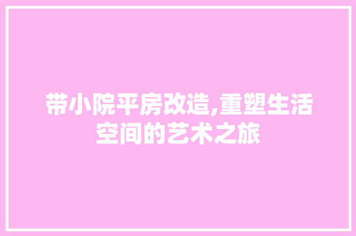 带小院平房改造,重塑生活空间的艺术之旅 庭院装修