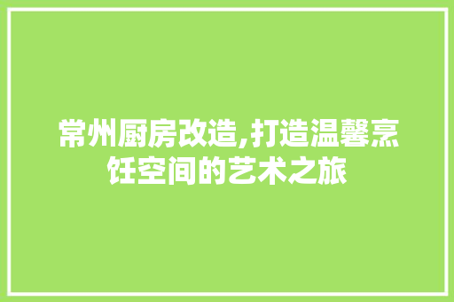常州厨房改造,打造温馨烹饪空间的艺术之旅