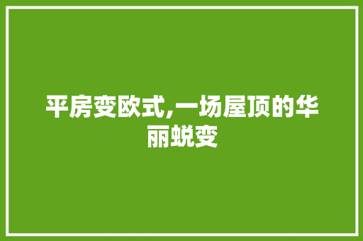 平房变欧式,一场屋顶的华丽蜕变