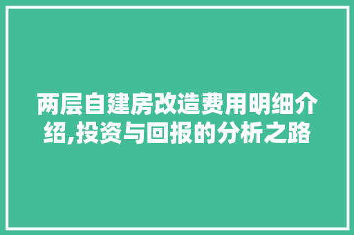 两层自建房改造费用明细介绍,投资与回报的分析之路