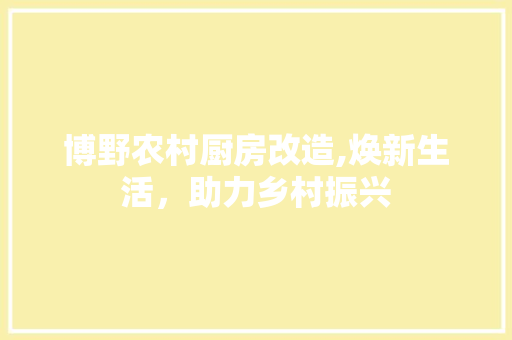 博野农村厨房改造,焕新生活，助力乡村振兴 景观设计