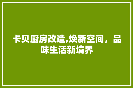 卡贝厨房改造,焕新空间，品味生活新境界