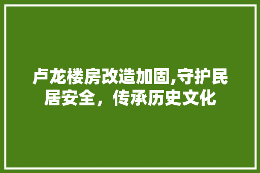 卢龙楼房改造加固,守护民居安全，传承历史文化