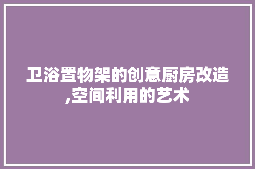 卫浴置物架的创意厨房改造,空间利用的艺术