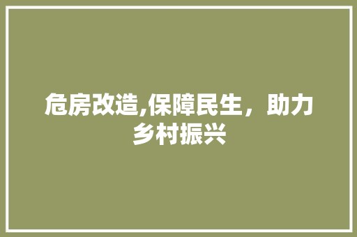 危房改造,保障民生，助力乡村振兴