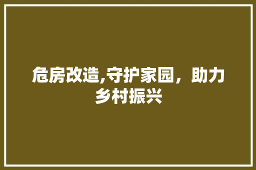 危房改造,守护家园，助力乡村振兴