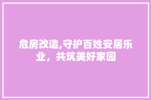 危房改造,守护百姓安居乐业，共筑美好家园