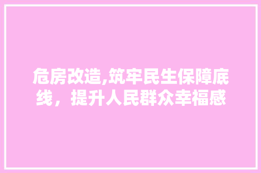 危房改造,筑牢民生保障底线,提升人民群众幸福感 墙面装饰 危房改造,筑牢民生保障底线,提升人民群众幸福感 墙面装饰