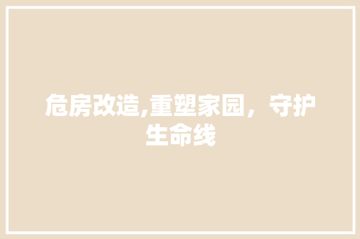危房改造,重塑家园，守护生命线