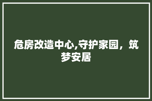 危房改造中心,守护家园，筑梦安居 庭院装修