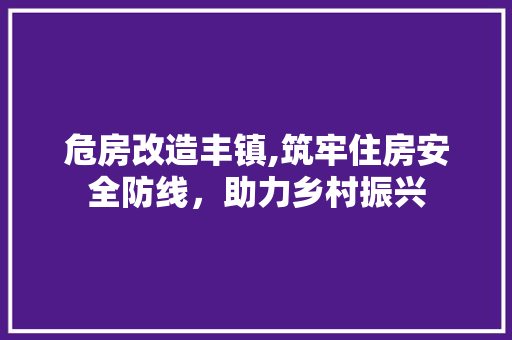 危房改造丰镇,筑牢住房安全防线，助力乡村振兴