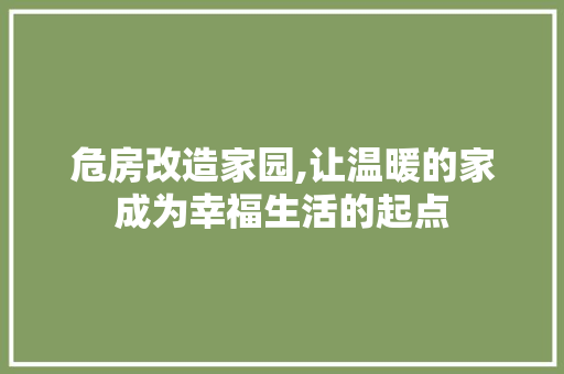 危房改造家园,让温暖的家成为幸福生活的起点 建筑设计