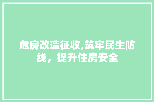 危房改造征收,筑牢民生防线，提升住房安全