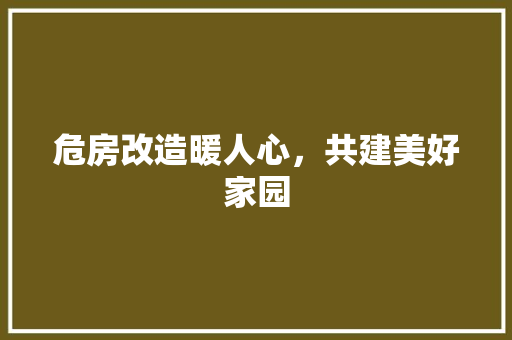 危房改造暖人心，共建美好家园