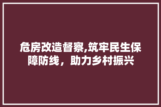 危房改造督察,筑牢民生保障防线，助力乡村振兴
