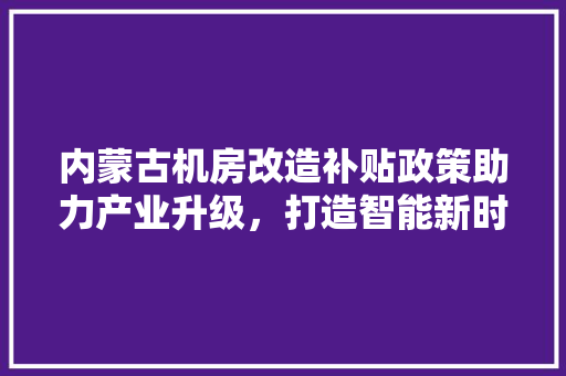 内蒙古机房改造补贴政策助力产业升级，打造智能新时代