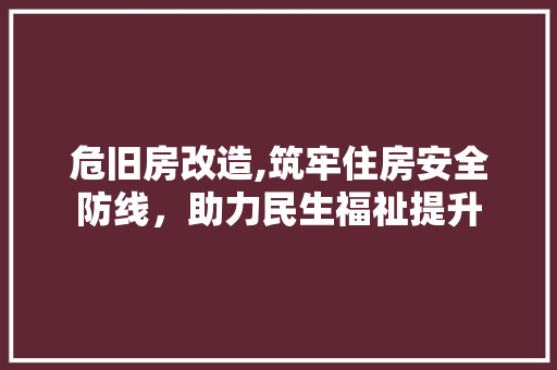 危旧房改造,筑牢住房安全防线，助力民生福祉提升
