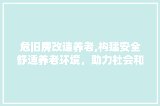 危旧房改造养老,构建安全舒适养老环境，助力社会和谐发展