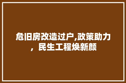 危旧房改造过户,政策助力，民生工程焕新颜