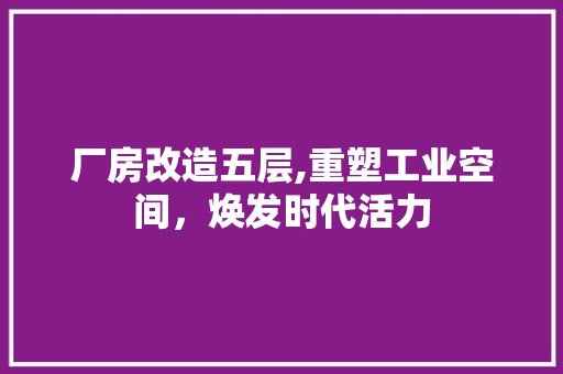 厂房改造五层,重塑工业空间，焕发时代活力 墙面装饰