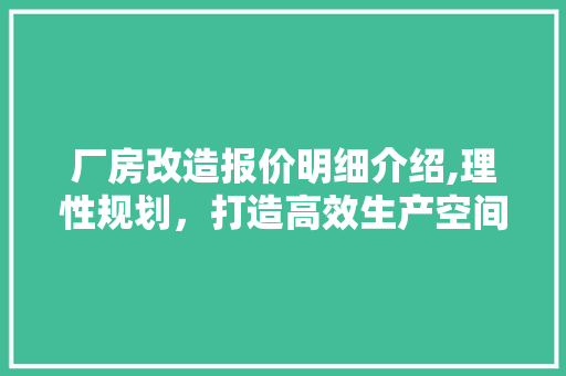 厂房改造报价明细介绍,理性规划，打造高效生产空间