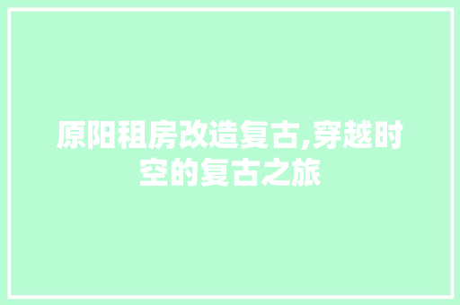 原阳租房改造复古,穿越时空的复古之旅