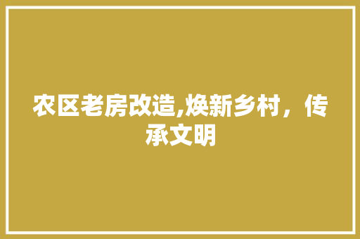 农区老房改造,焕新乡村，传承文明