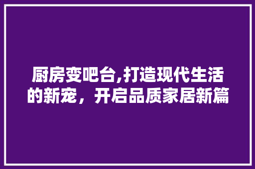 厨房变吧台,打造现代生活的新宠，开启品质家居新篇章