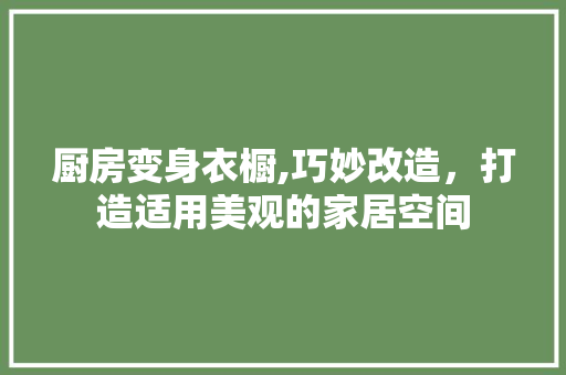 厨房变身衣橱,巧妙改造，打造适用美观的家居空间 装修攻略